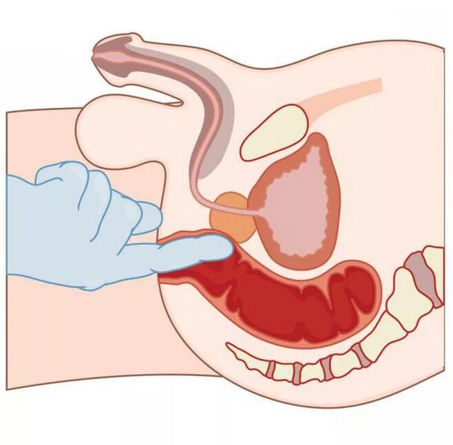 Localización do punto G masculino