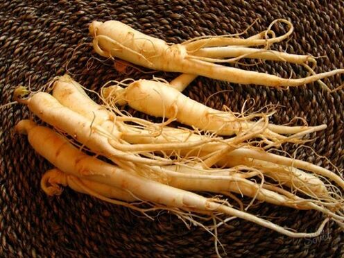 raíz de ginseng para aumentar a potencia despois dos 60